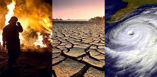 Environmental Damage Has Led To Out Of Control Climate Change
