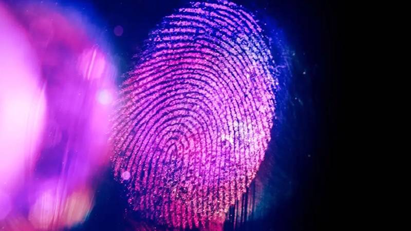 AI Study Claims Human Fingerprints May Not Be Unique